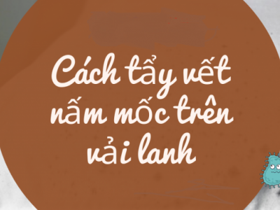 Bí quyết loại bỏ vết nấm mốc ở vải lanh