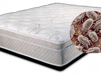 Một số mẹo nhỏ giúp chúng ta có thể vệ sinh chăn nệm cũ