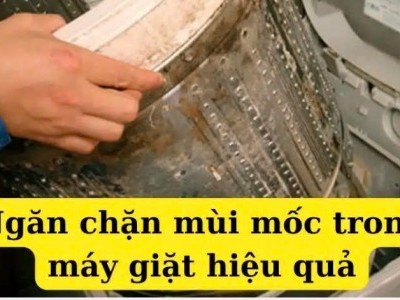 Ngăn Chặn Mùi Mốc Hiệu Qua Trong Máy Giặt Công Nghiệp ?