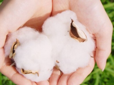 Dễ dàng nhận biết một số loại vải vóc theo những cách sau