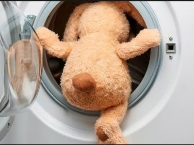 Những lưu ý cần biết khi sấy khô gấu bông bằng máy sấy quần áo